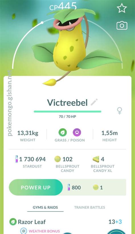 victreebel pokémon evolution|pokemon go victreebel.